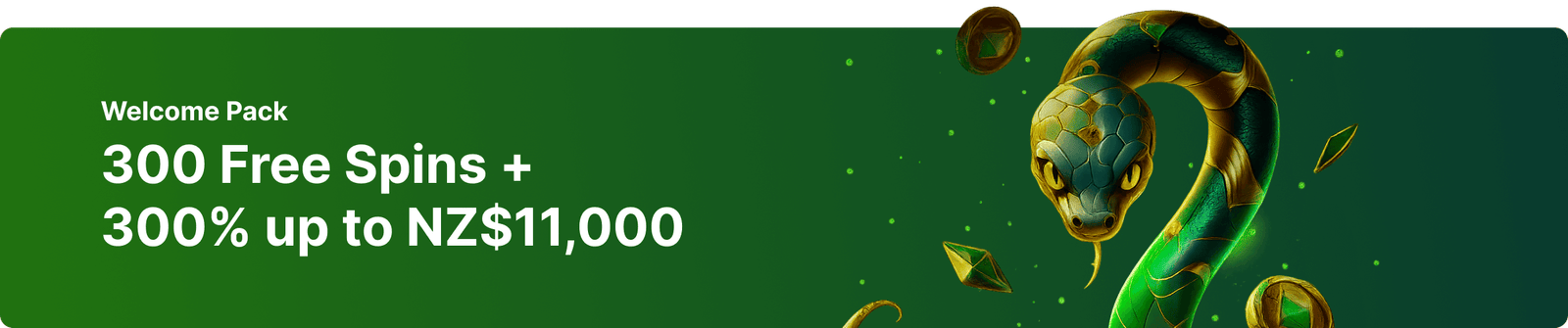 Neospin Banner Desktop